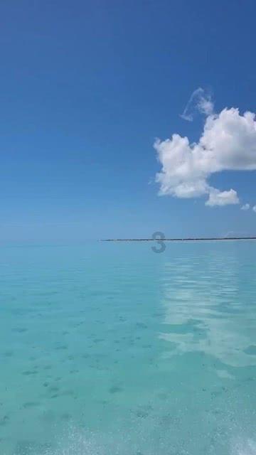 流放骑士