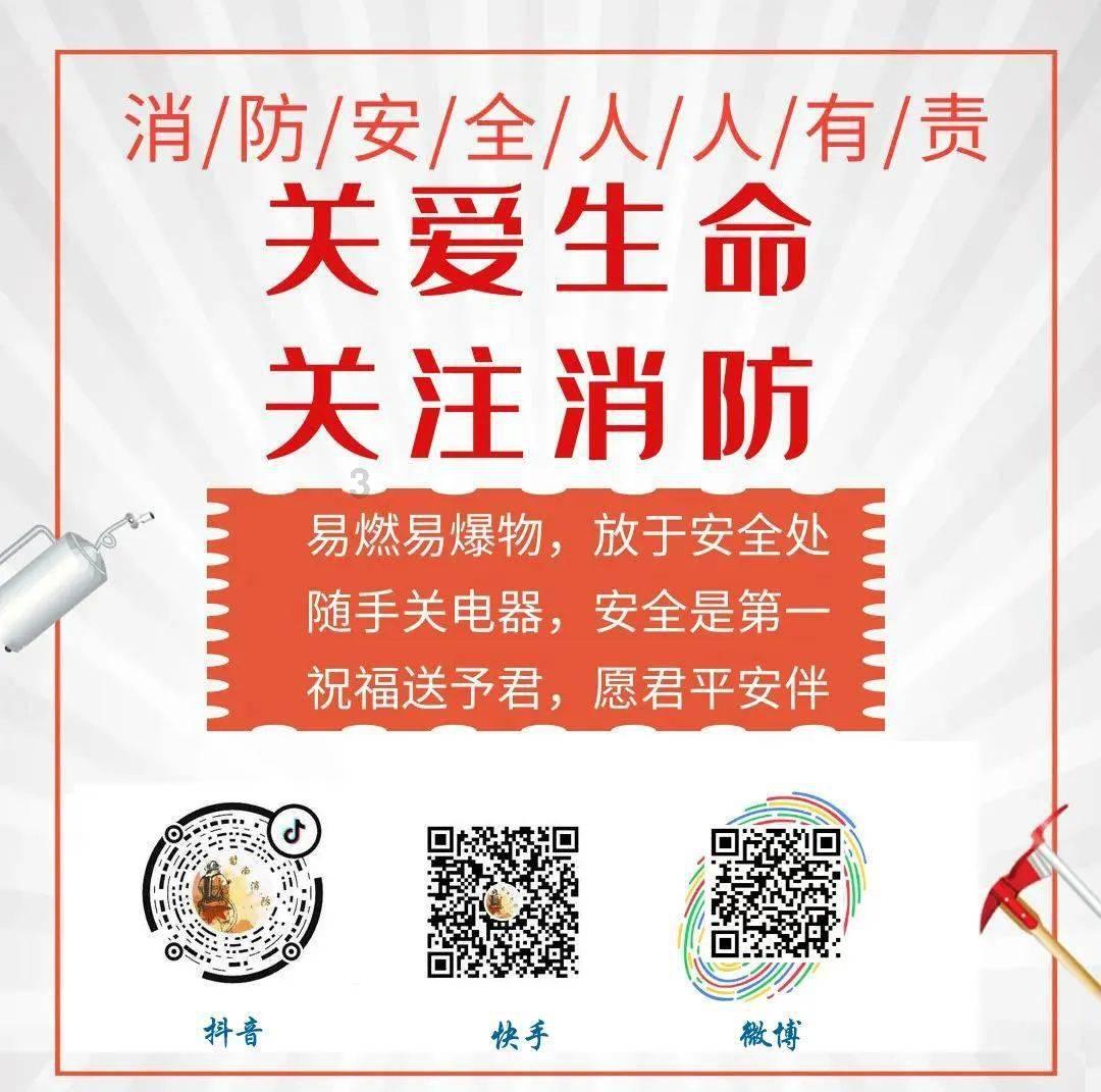 营救小乌龟