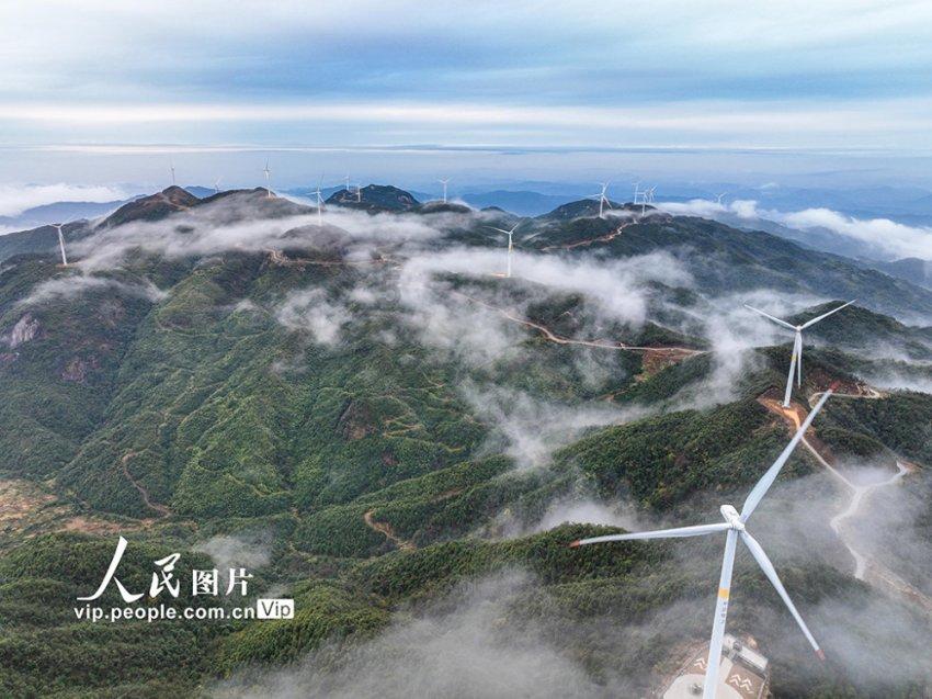 职场有哪些忌讳知识星球平台,深入探索专业领域