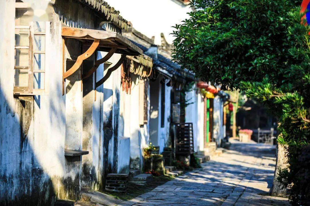 你如何理解“愿此时平淡,愿彼时灿烂”这句话?-专业问答交流平台